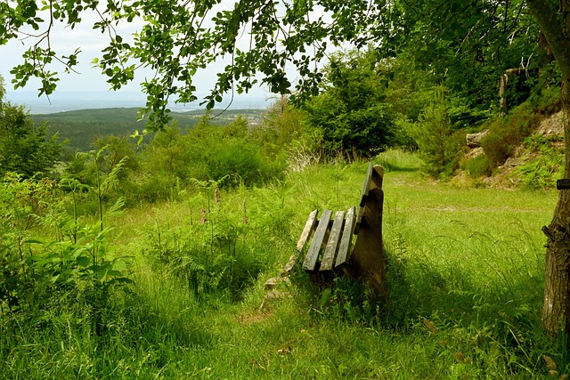 亚泰愿以最 亚泰愿以最