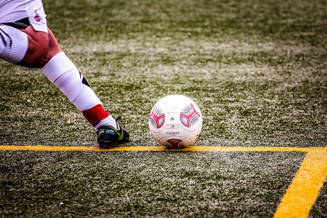 这场无情的 这场无情的