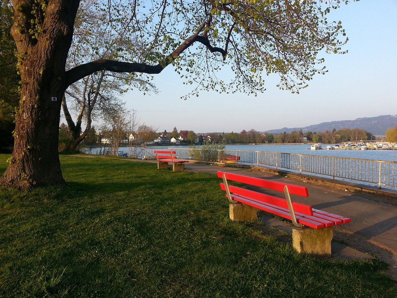 指明新的方 指明新的方