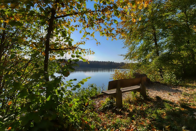 能够在主场 能够在主场